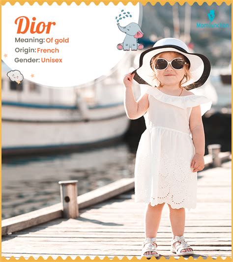 dior 意味|dior meaning in english.